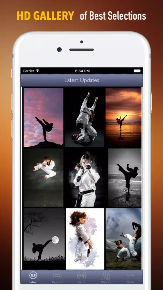 تصاویر Taekwondo Wallpapers HD-Quotes and Art Pictures
