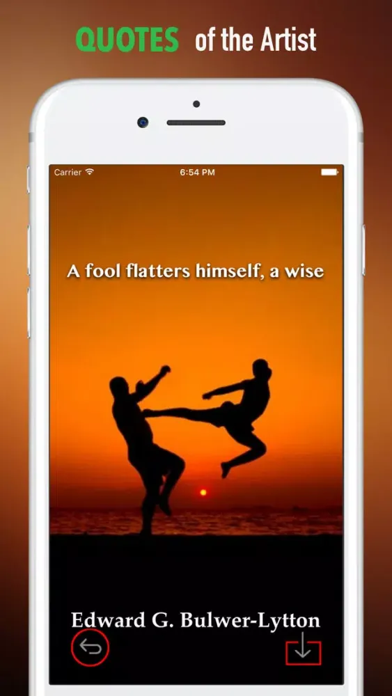 تصاویر Taekwondo Wallpapers HD-Quotes and Art Pictures