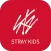 Stray Kids Light Stick