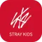 Stray Kids Light Stick