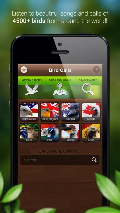 ภาพหน้าจอของ Bird Songs - Bird Call & Guide