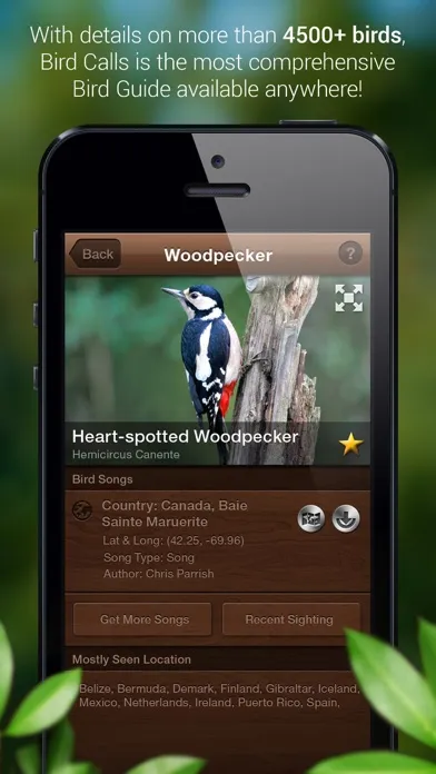 ภาพหน้าจอของ Bird Songs - Bird Call & Guide