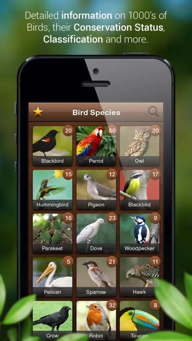 ภาพหน้าจอของ Bird Songs - Bird Call & Guide