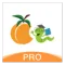 杏林学堂Pro