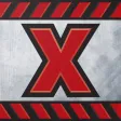 The X Rock ford