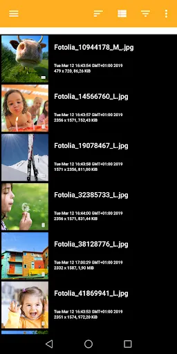 XnConvert - Photo Resize 스크린샷