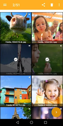 XnConvert - Photo Resize 스크린샷