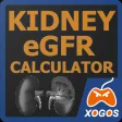 Kidney eGFR Calculator
