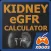 Kidney eGFR Calculator