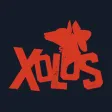 Xolos Mexican Food Xolos Mexican Food