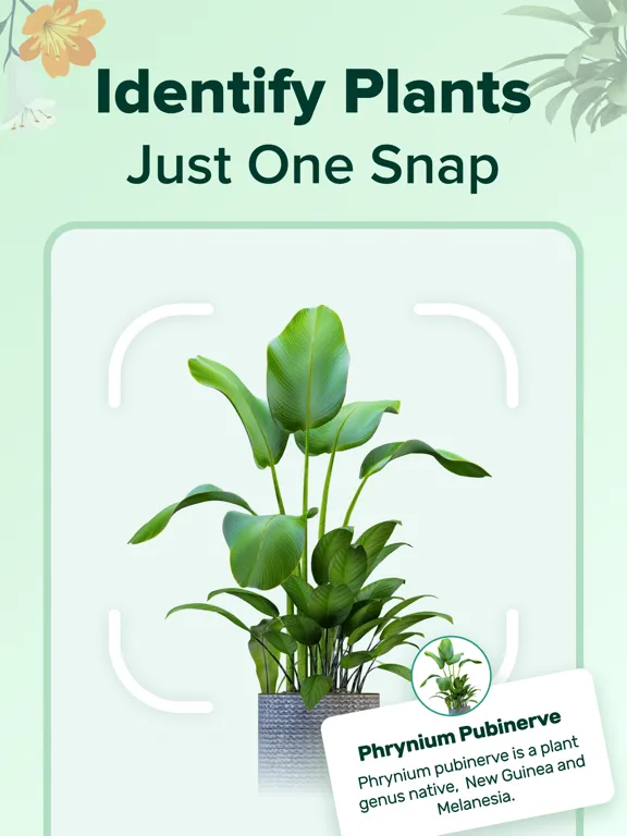 PlantNow-Plant Identification iPad  Ekran Görüntüleri