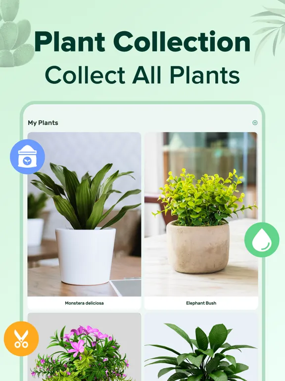 PlantNow-Plant Identification iPad  Ekran Görüntüleri