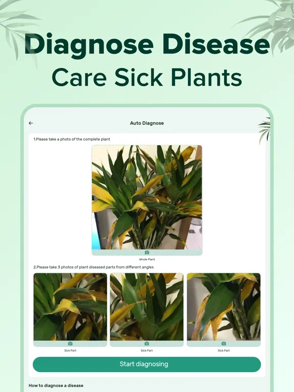 PlantNow-Plant Identification iPad  Ekran Görüntüleri