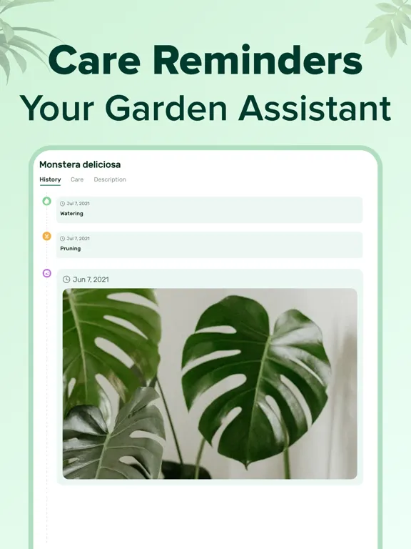 PlantNow-Plant Identification iPad  Ekran Görüntüleri