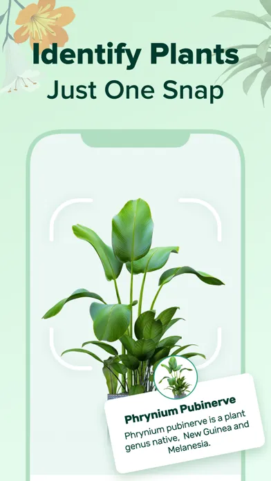 PlantNow-Plant Identification Ekran Görüntüleri