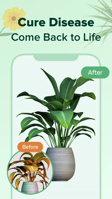 PlantNow-Plant Identification Ekran Görüntüleri