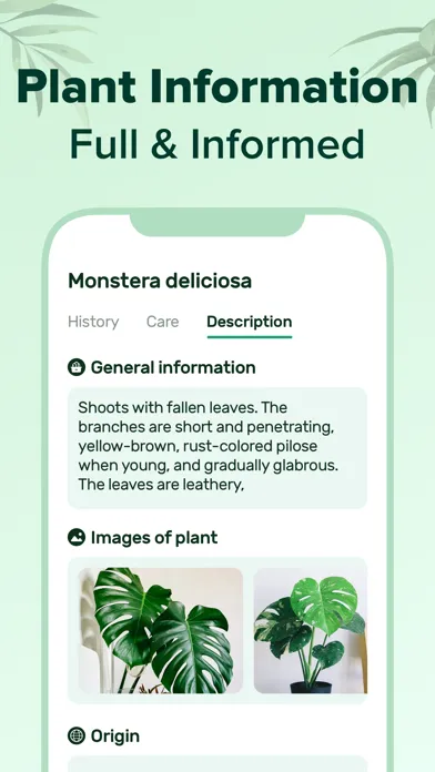 PlantNow-Plant Identification Ekran Görüntüleri