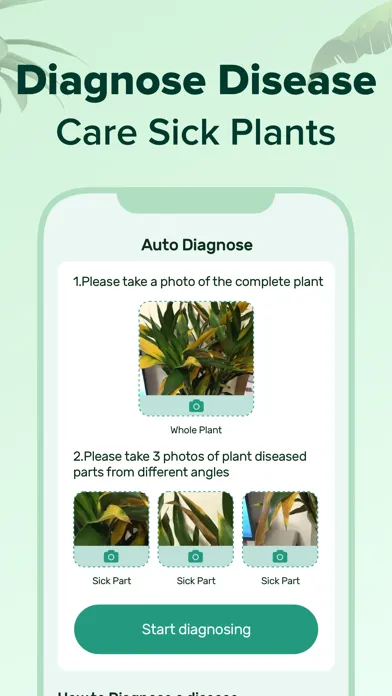 PlantNow-Plant Identification Ekran Görüntüleri