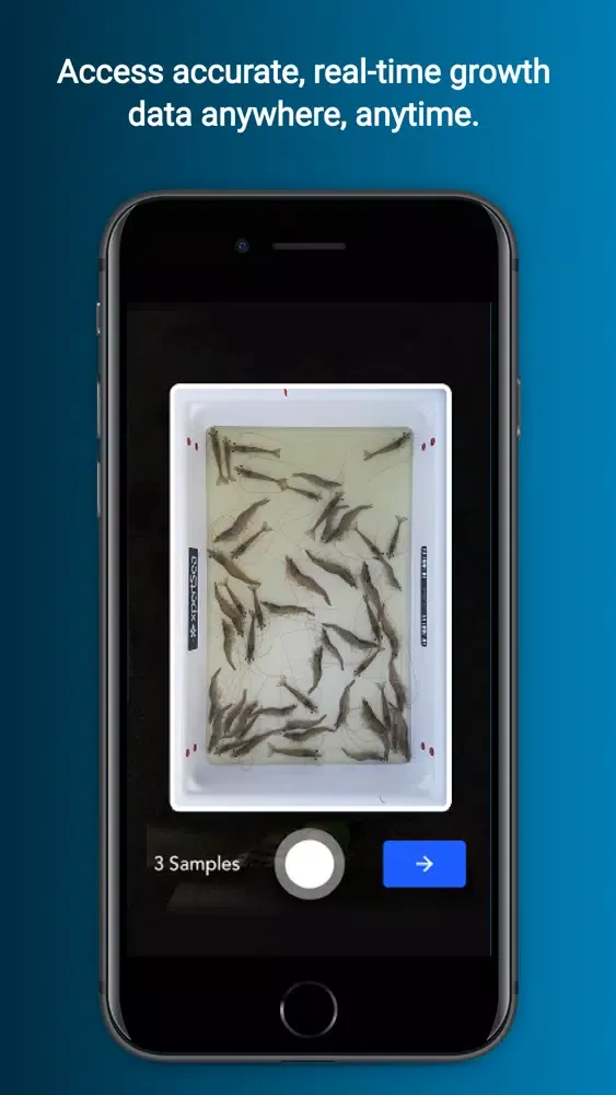 Скриншоты XpertSea