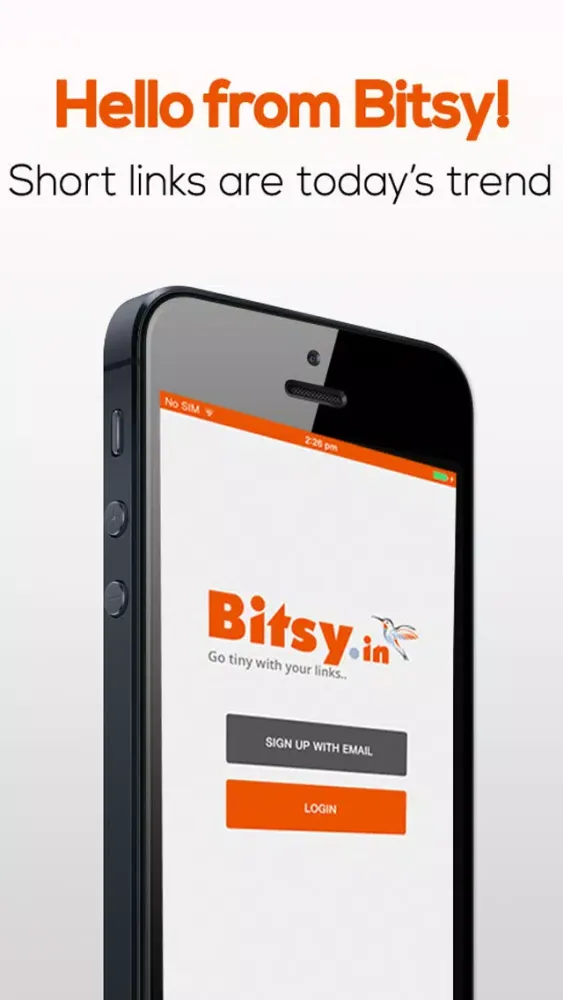 Tangkapan layar Bitsy.in