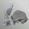 3D Osteology