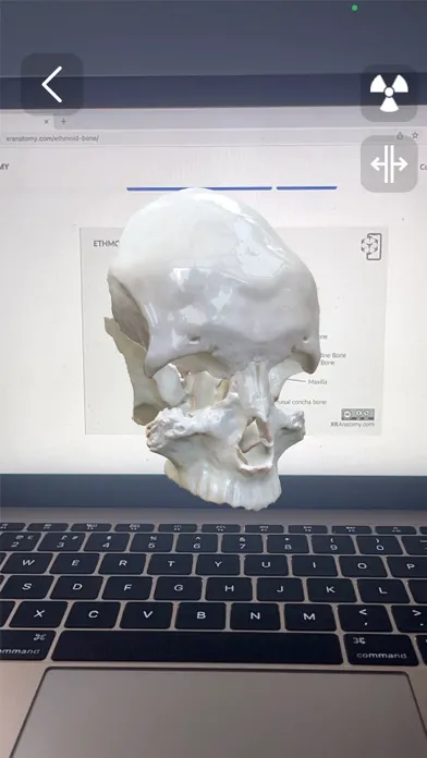 Captures d'écran de XR Anatomy