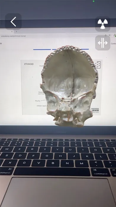 Captures d'écran de XR Anatomy