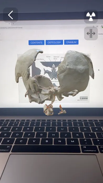 Captures d'écran de XR Anatomy