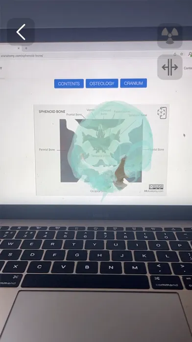 Captures d'écran de XR Anatomy