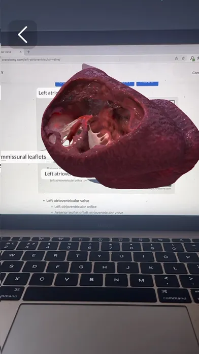 Captures d'écran de XR Anatomy