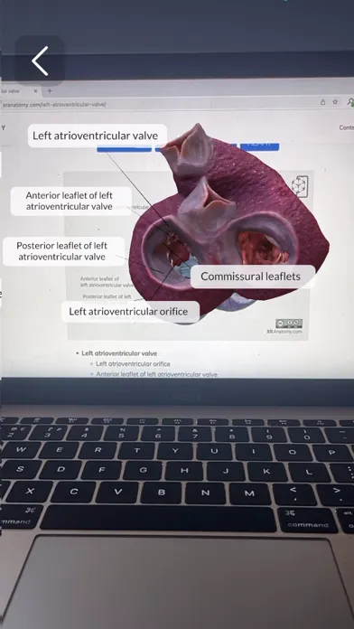 Captures d'écran de XR Anatomy