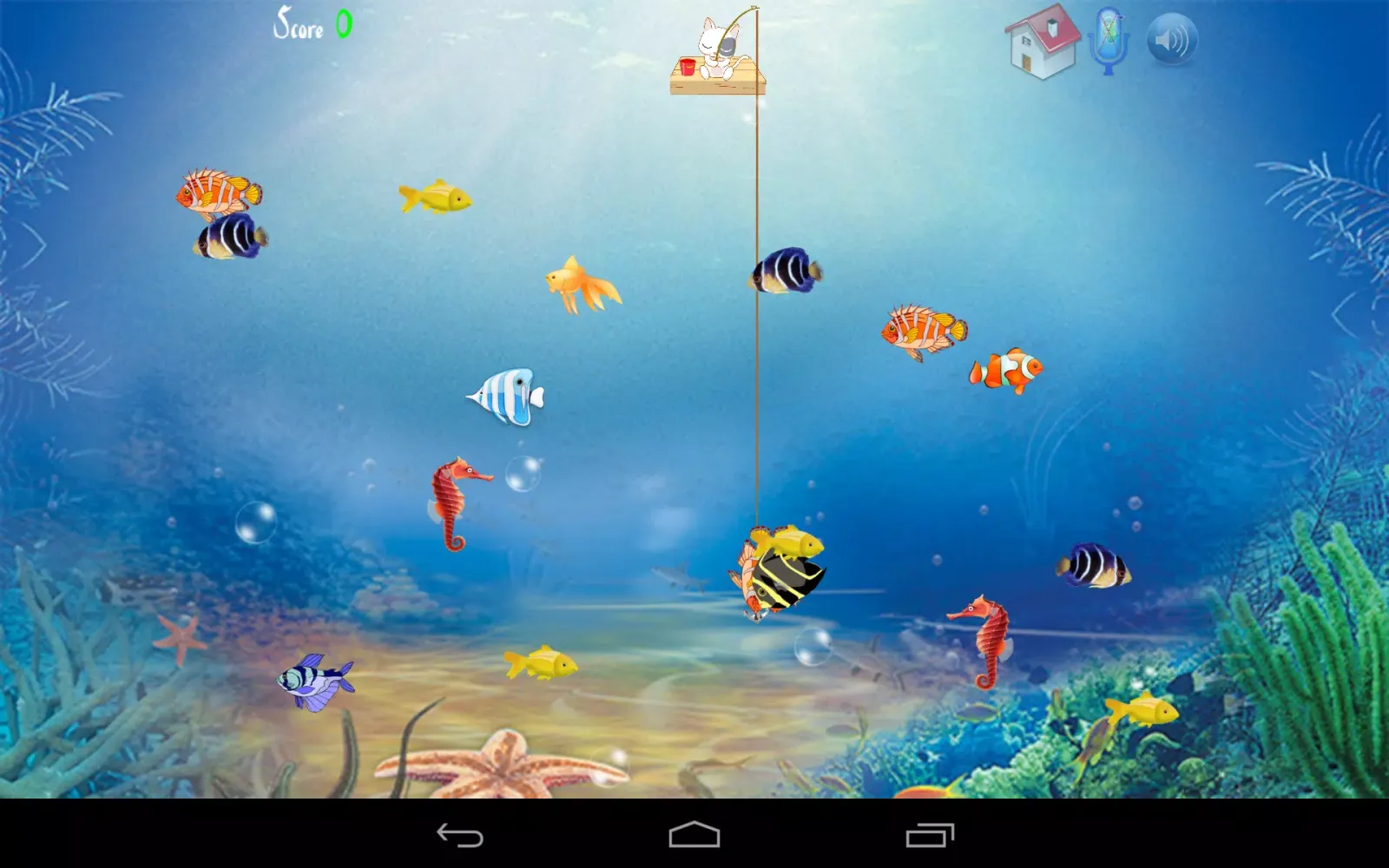 Cat Fishing應用截圖
