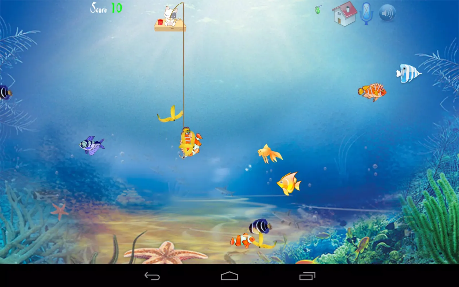 Cat Fishing應用截圖