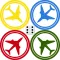 Aeroplane Chess