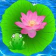 Frog Trap Frog Trap