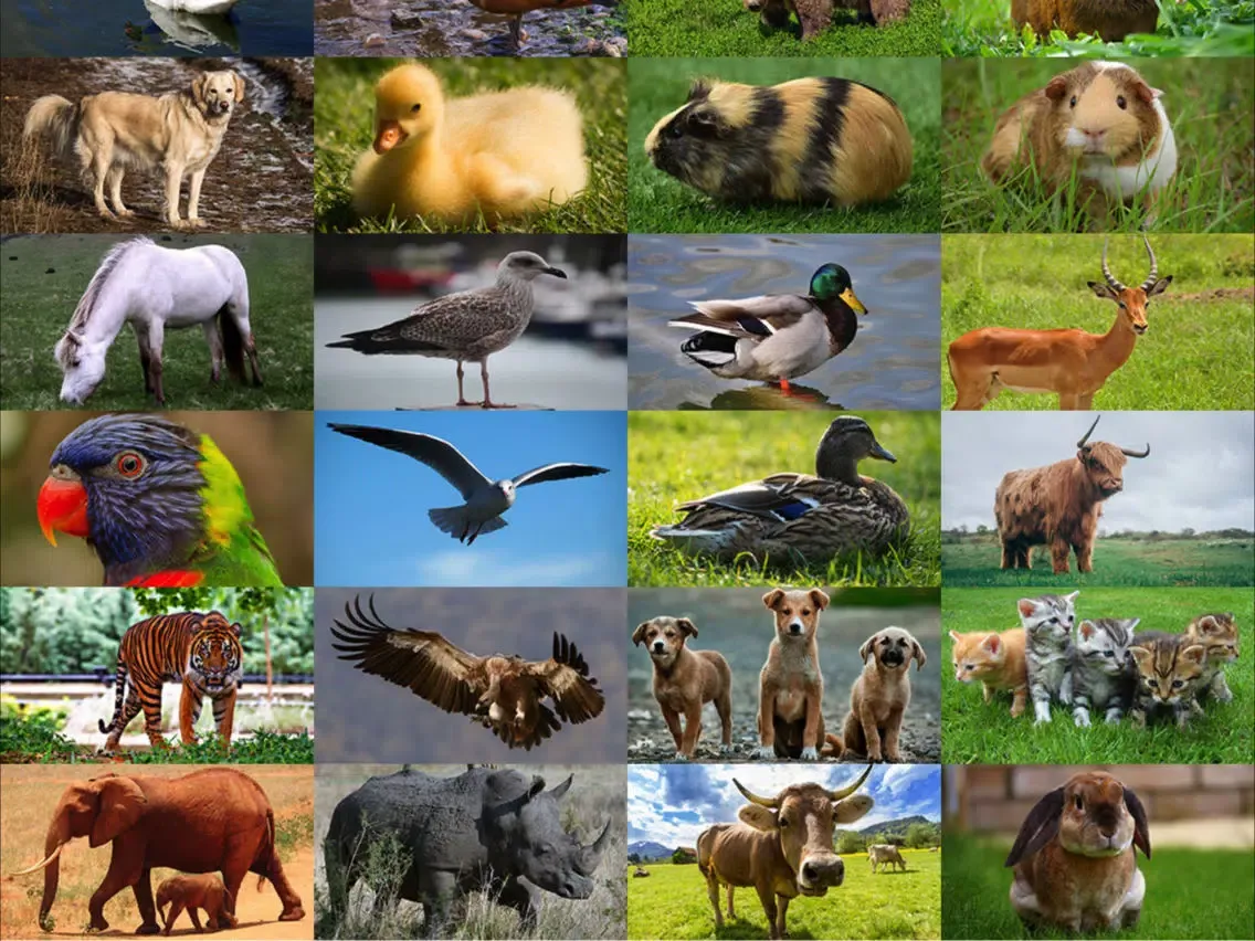 Captures d'écran de Jigsaw Puzzle Fans iPad 