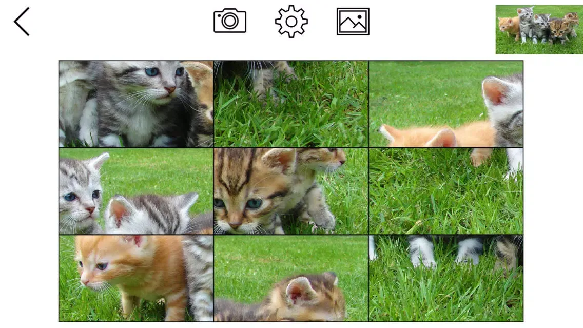 Captures d'écran de Jigsaw Puzzle Fans