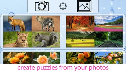 Tangkapan layar Jigsaw Puzzle - Classic