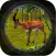 Real Deer Sniper Strike Hunter