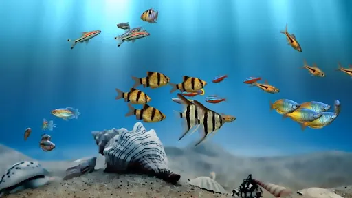 Aquarium Relax স্ক্রিনশট