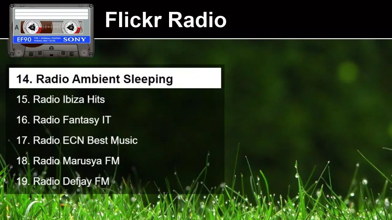 Flickr Radio Screenshots