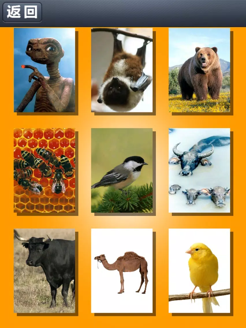 Ảnh chụp màn hình của 儿童宝宝看图片认识动物——早教好帮手 iPad 