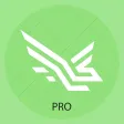 Kam Kaj for Professionals