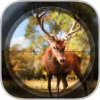 Contract Deer Hunter