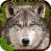 Wolf Simulator 3D Game