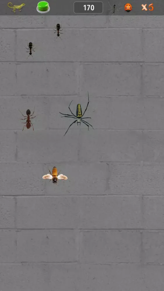 ภาพหน้าจอของ Bug Insect Smasher Evolution