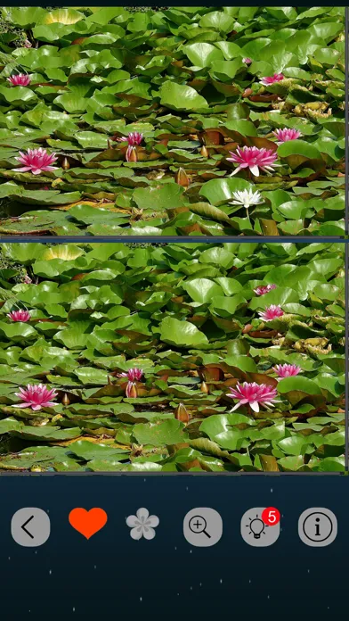 Find the Differences - Classic स्क्रीनशॉट
