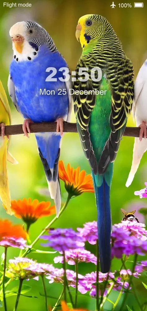 Tangkapan skrin Bird Wallpaper HD