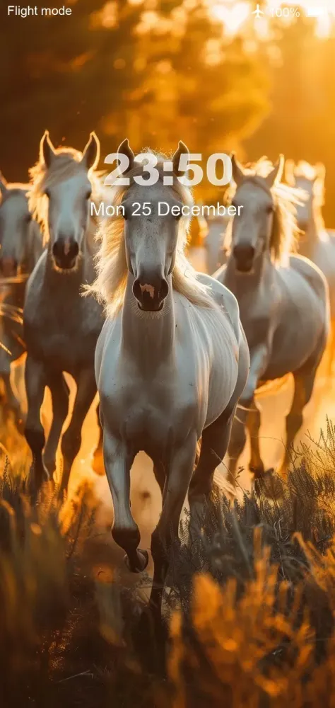 Horse Wallpaper HD Screenshots