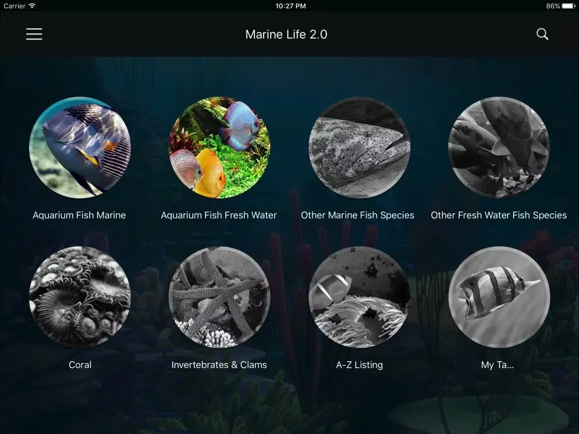 صور Marine Life Lite iPad 